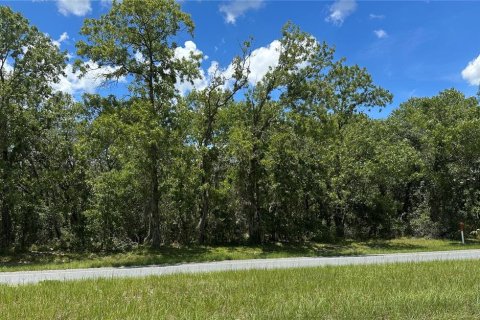 Terrain à vendre à Ocala, Floride № 1850136 - photo 5