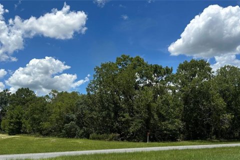 Terrain à vendre à Ocala, Floride № 1850136 - photo 4