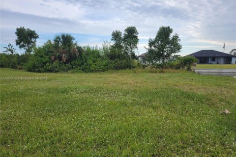 Land in Cape Coral, Florida № 1962975 - photo 3