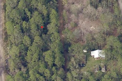 Land in Citra, Florida № 2219400