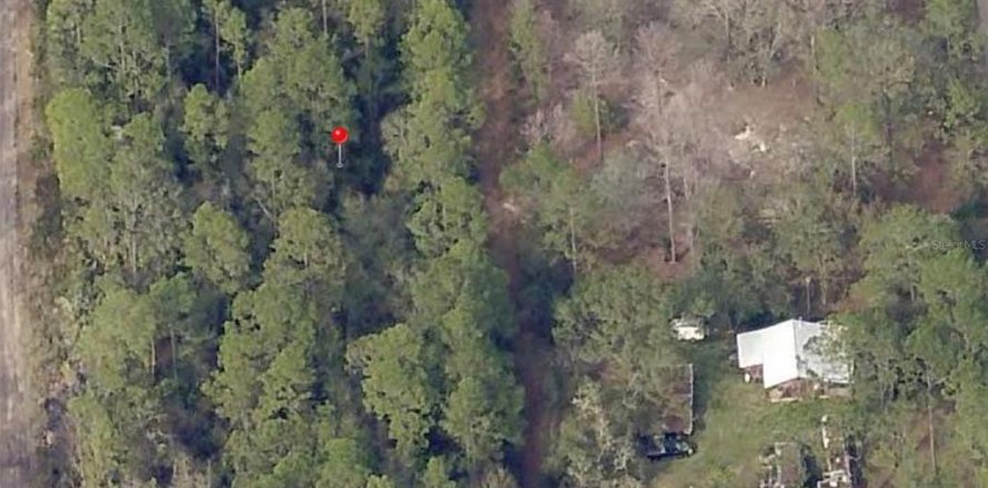Land in Citra, Florida № 2219400