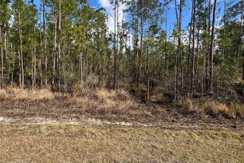 Terrain à Sebring, Floride № 2228846