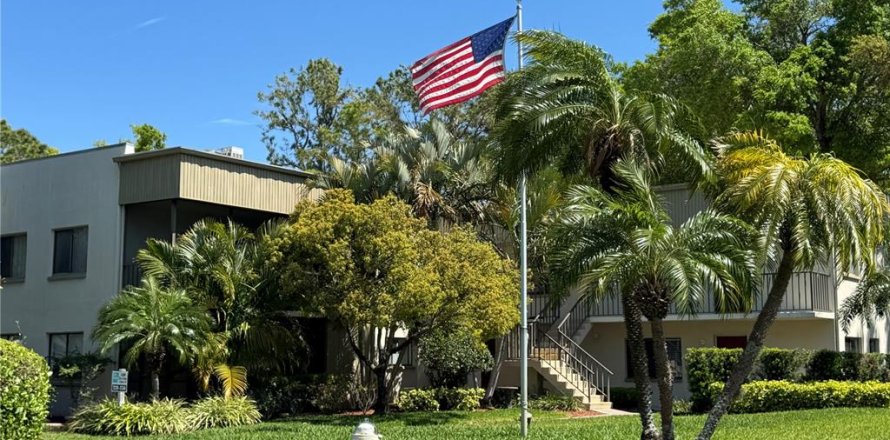 Condo à Palm Harbor, Floride, 2 chambres  № 1761418