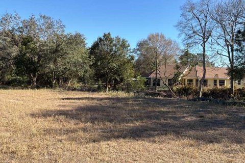 Land in Avon Park, Florida № 2159379 - photo 4