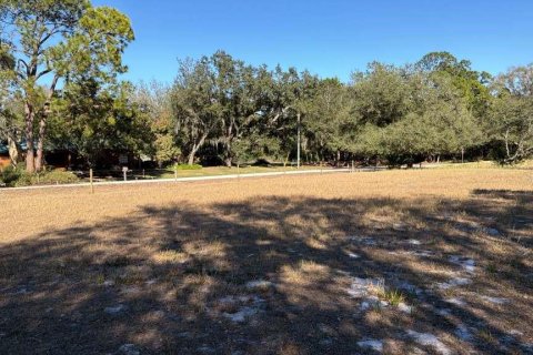 Land in Avon Park, Florida № 2159379