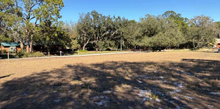 Land in Avon Park, Florida № 2159379