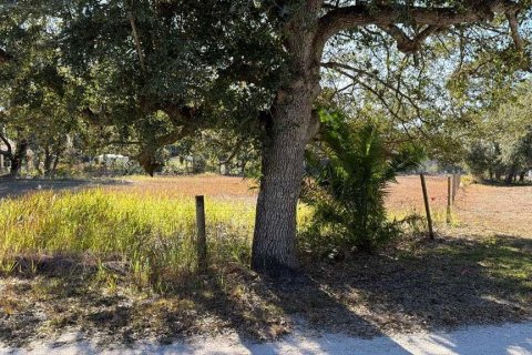 Land in Avon Park, Florida № 2159379 - photo 7