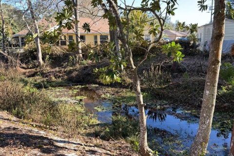 Land in Avon Park, Florida № 2159379 - photo 2