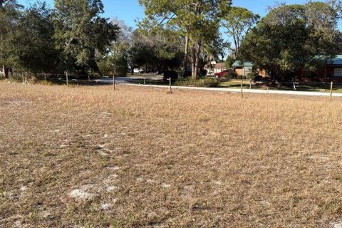 Land in Avon Park, Florida № 2159379 - photo 5