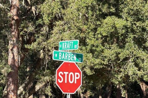 Land in Avon Park, Florida № 2159379 - photo 6