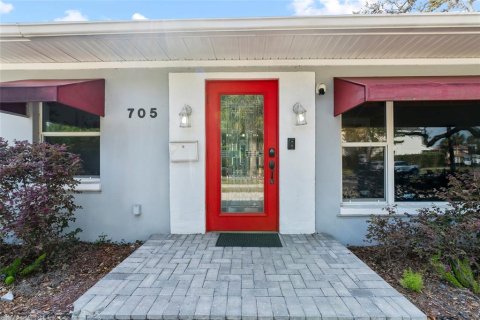 House in Tampa, Florida 4 bedrooms, 272.02 sq.m. № 1626120 - photo 3