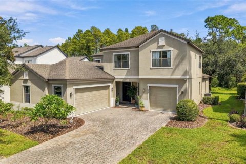 House in Lutz, Florida 5 bedrooms, 336.21 sq.m. № 2396342