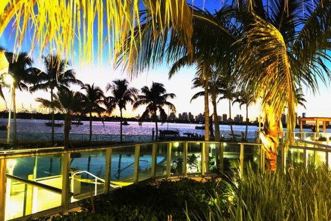 Copropriété à louer à Miami Beach, Floride: 46.17 m2 № 2431399 - photo 12