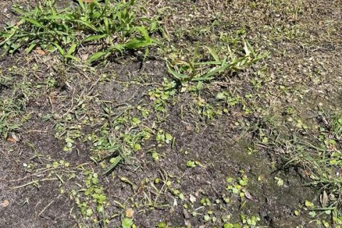 Terreno en venta en Osteen, Florida № 1587340 - foto 1