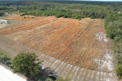 Terrain à Wimauma, Floride № 2135463