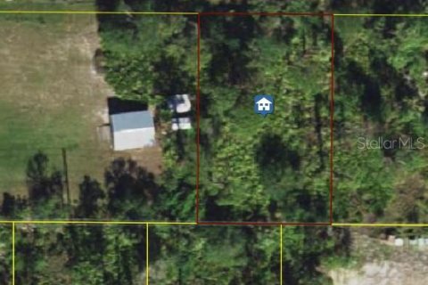 Land in Punta Gorda, Florida № 2235090 - photo 3