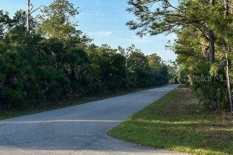 Land in Port Charlotte, Florida № 2165034 - photo 4