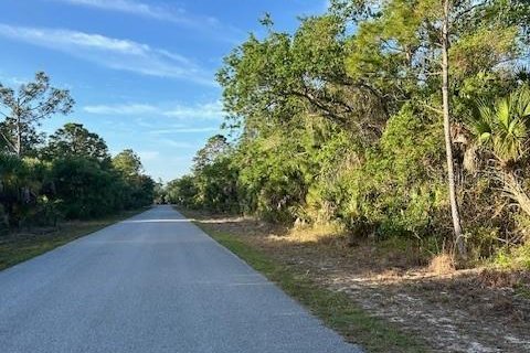 Land in Port Charlotte, Florida № 2165034 - photo 3