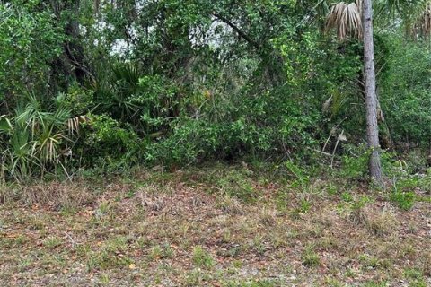 Land in Port Charlotte, Florida № 2165034 - photo 2