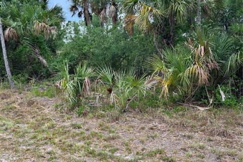Land in Port Charlotte, Florida № 2165034