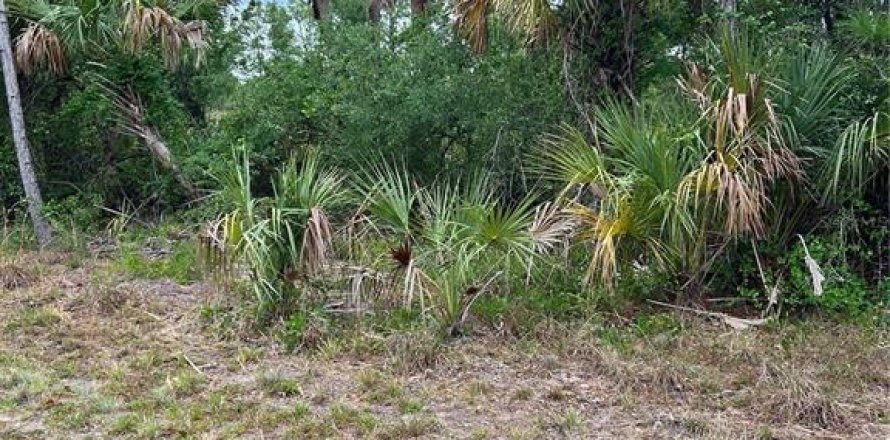 Land in Port Charlotte, Florida № 2165034