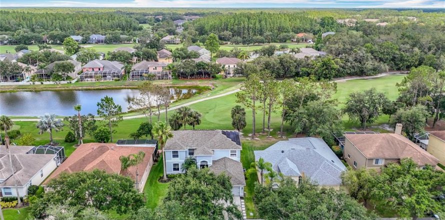 House in Tampa, Florida 4 bedrooms, 299.05 sq.m. № 2097860