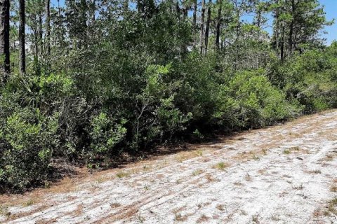 Land in Indian lake estates, Florida № 2195421 - photo 2