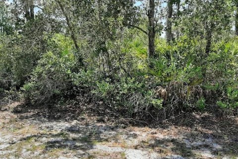 Land in Indian lake estates, Florida № 2195421