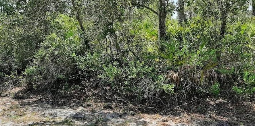 Land in Indian lake estates, Florida № 2195421