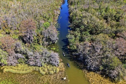 Land in Astatula, Florida № 2099635 - photo 16