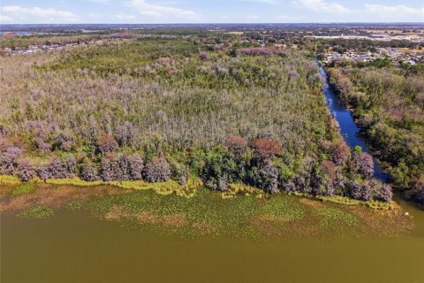 Land in Astatula, Florida № 2099635 - photo 2