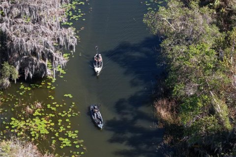 Land in Astatula, Florida № 2099635 - photo 5