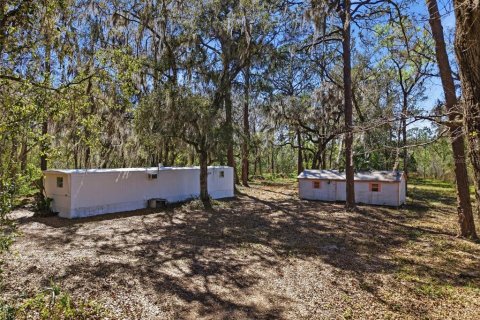 Land in Astatula, Florida № 2099635 - photo 8