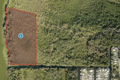 Land in Astatula, Florida № 2099635 - photo 3