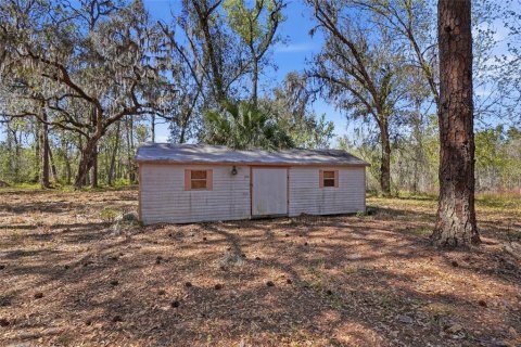 Land in Astatula, Florida № 2099635 - photo 9