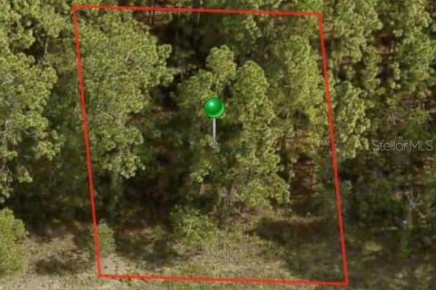 Land in Citrus Springs, Florida № 2163136