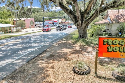 Immobilier commercial à vendre à Floral City, Floride: 130.99 m2 № 1167147 - photo 22