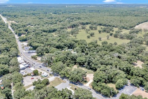 Immobilier commercial à vendre à Floral City, Floride: 130.99 m2 № 1167147 - photo 7