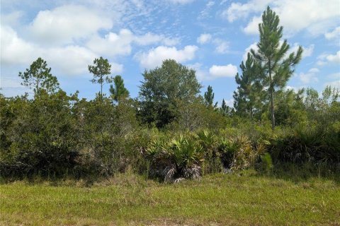 Land in Indian lake estates, Florida № 2196904