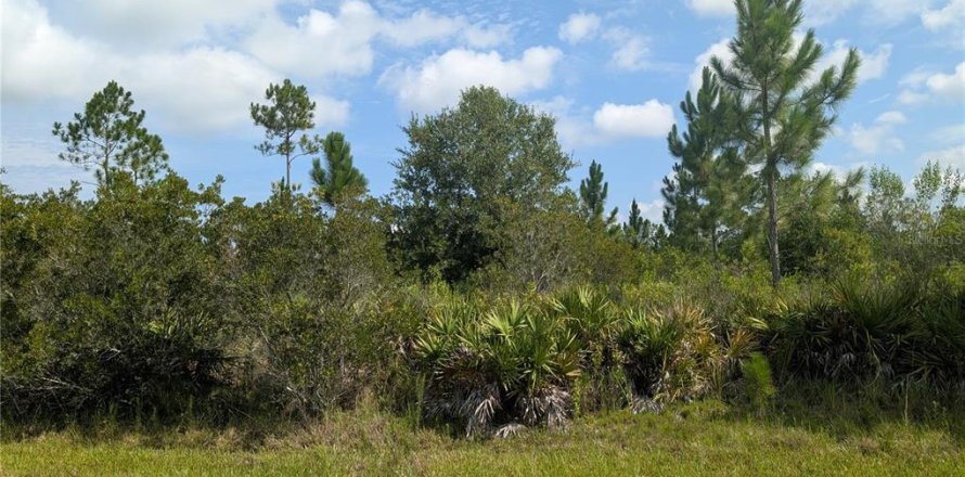 Land in Indian lake estates, Florida № 2196904