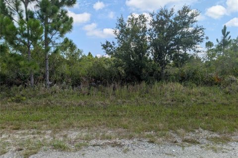 Land in Indian lake estates, Florida № 2196904 - photo 4
