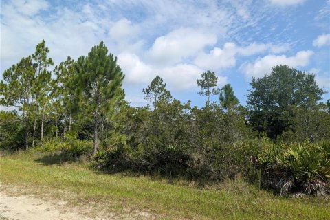 Land in Indian lake estates, Florida № 2196904 - photo 5