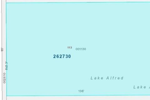 Land in Lake Alfred, Florida № 1788214 - photo 7