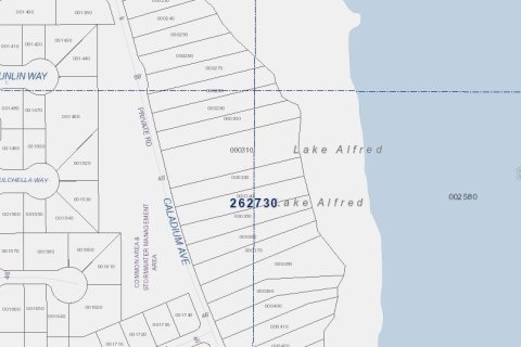 Land in Lake Alfred, Florida № 1788214 - photo 6