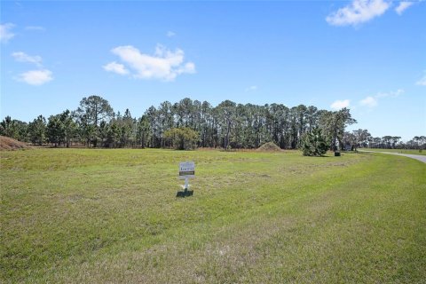 Terrain à vendre à Umatilla, Floride № 2119405 - photo 4
