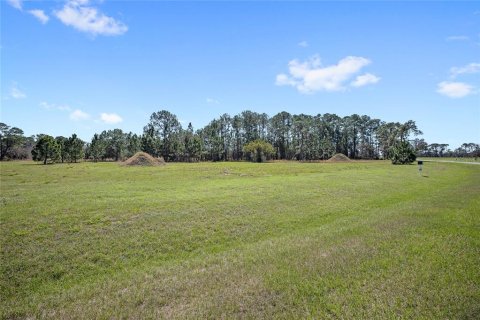 Terrain à vendre à Umatilla, Floride № 2119405 - photo 3