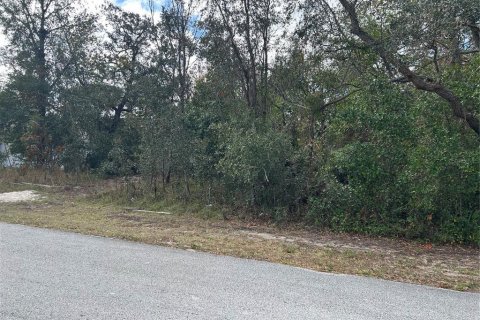 Land in Spring Hill, Florida № 1555854 - photo 3