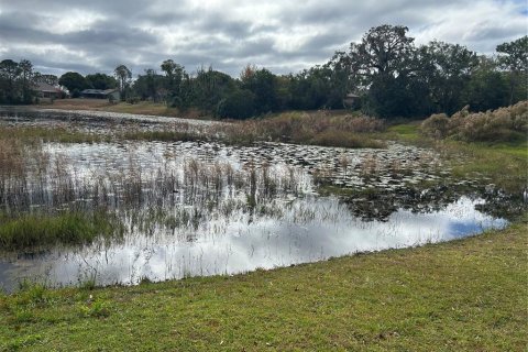 Land in Spring Hill, Florida № 1555854 - photo 5