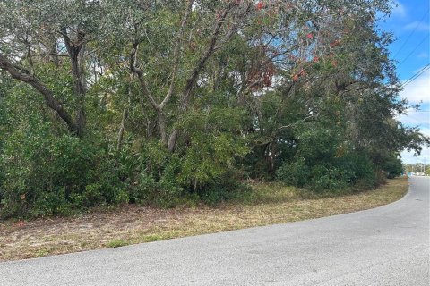 Land in Spring Hill, Florida № 1555854 - photo 2