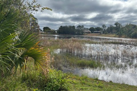 Land in Spring Hill, Florida № 1555854 - photo 4